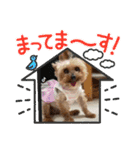 ききょう＆ポッケNO.5（個別スタンプ：25）