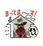 ききょう＆ポッケNO.5（個別スタンプ：26）