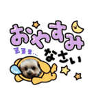 ききょう＆ポッケNO.5（個別スタンプ：40）