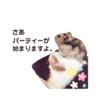 うちのかわいい連中（個別スタンプ：2）