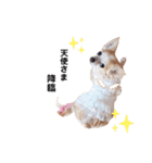 うちのかわいい連中（個別スタンプ：4）