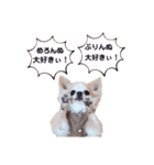 うちのかわいい連中（個別スタンプ：7）