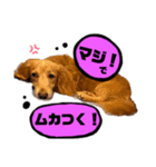 らぶぞぅ心の声（個別スタンプ：5）