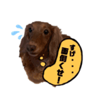 らぶぞぅ心の声（個別スタンプ：6）