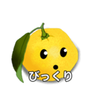 リアル柚スタンプ（個別スタンプ：2）