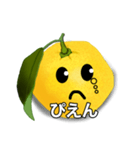 リアル柚スタンプ（個別スタンプ：3）