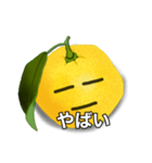 リアル柚スタンプ（個別スタンプ：4）