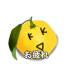 リアル柚スタンプ（個別スタンプ：5）