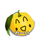 リアル柚スタンプ（個別スタンプ：7）