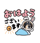 シュウ＆テン3（個別スタンプ：1）