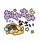 シュウ＆テン3（個別スタンプ：2）