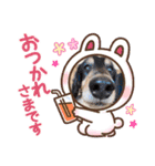 シュウ＆テン3（個別スタンプ：5）