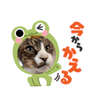 シュウ＆テン3（個別スタンプ：6）