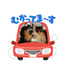 シュウ＆テン3（個別スタンプ：7）