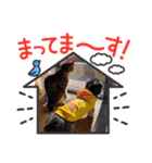 シュウ＆テン3（個別スタンプ：8）