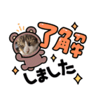 シュウ＆テン3（個別スタンプ：10）