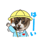 シュウ＆テン3（個別スタンプ：11）