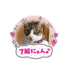 シュウ＆テン3（個別スタンプ：12）