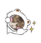 シュウ＆テン3（個別スタンプ：14）