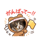 シュウ＆テン3（個別スタンプ：19）