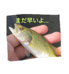 バスFishingスタンプスタンプ（個別スタンプ：9）