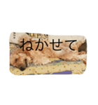 とのとのとの（個別スタンプ：12）