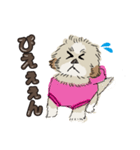 イラスト・モコ（個別スタンプ：1）
