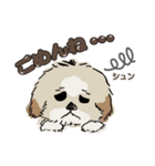 イラスト・モコ（個別スタンプ：4）