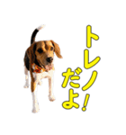 TRUENO86（個別スタンプ：1）
