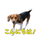 TRUENO86（個別スタンプ：2）