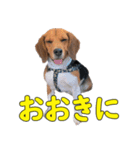 TRUENO86（個別スタンプ：4）