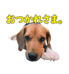 TRUENO86（個別スタンプ：5）