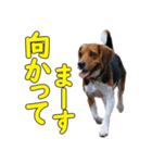 TRUENO86（個別スタンプ：7）