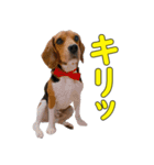 TRUENO86（個別スタンプ：8）
