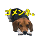 TRUENO86（個別スタンプ：10）