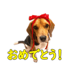 TRUENO86（個別スタンプ：11）