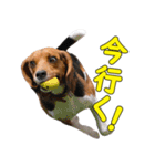 TRUENO86（個別スタンプ：15）