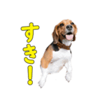 TRUENO86（個別スタンプ：16）