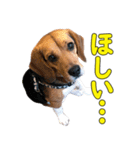 TRUENO86（個別スタンプ：18）