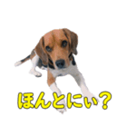 TRUENO86（個別スタンプ：19）