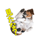TRUENO86（個別スタンプ：20）