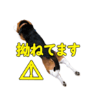 TRUENO86（個別スタンプ：22）