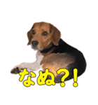 TRUENO86（個別スタンプ：23）