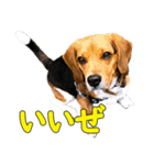 TRUENO86（個別スタンプ：24）