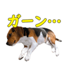 TRUENO86（個別スタンプ：25）