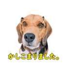 TRUENO86（個別スタンプ：29）