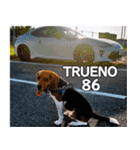 TRUENO86（個別スタンプ：32）