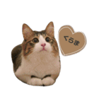 くらまのまいにち♡♡（個別スタンプ：1）
