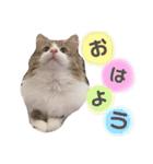 くらまのまいにち♡♡（個別スタンプ：3）