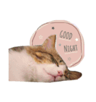 くらまのまいにち♡♡（個別スタンプ：4）